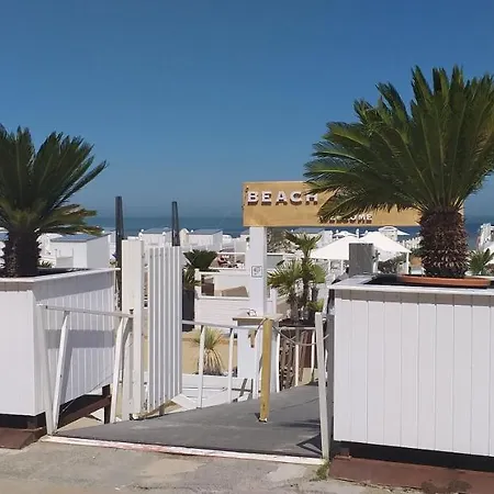 Lippenslaan-Orchidee Knokke-Heist